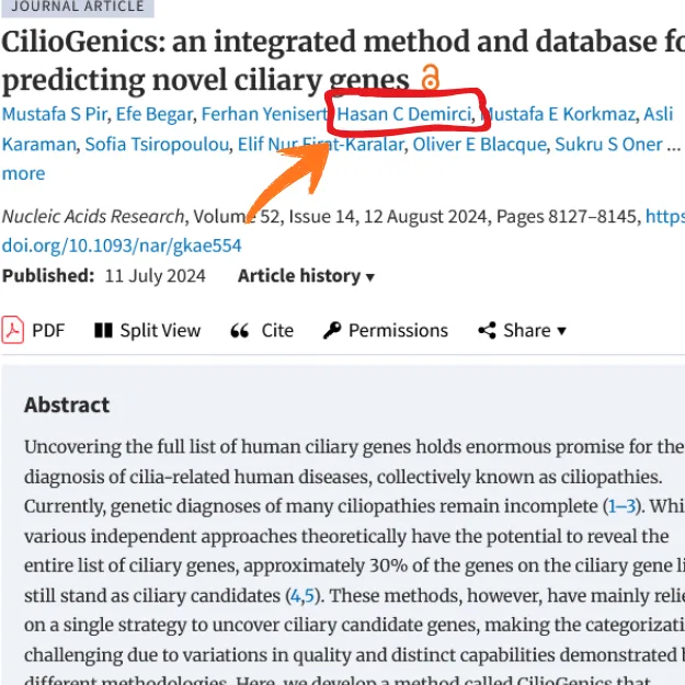Ana Sayfa makewithr article